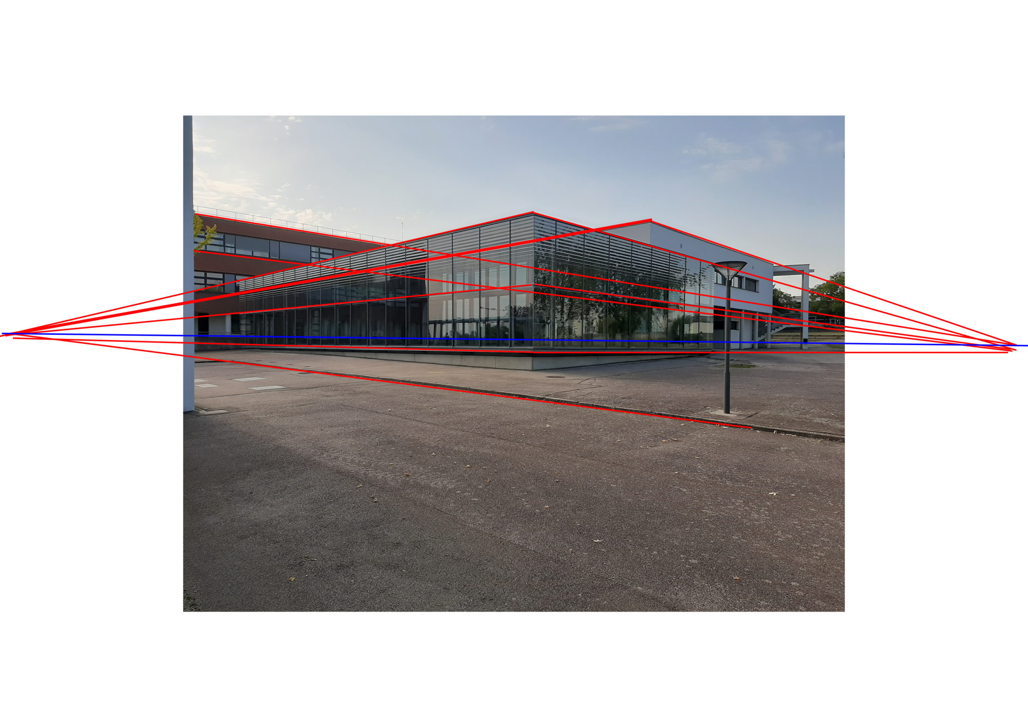 Dessin d’observation – Arts plastiques